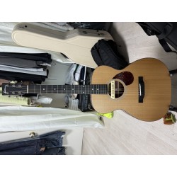 이스트만 e1om